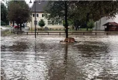  ??  ?? Am Dienstagab­end kam es aufgrund eines Unwetters in Otting (Landkreis Donau Ries) zu massiven Überschwem­mungen.