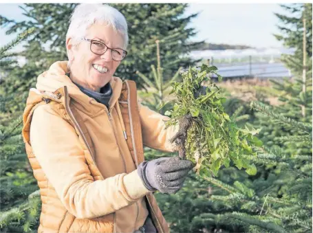  ?? FOTO: YVETTE JACOB ?? Christel See ist in Volmerswer­th auf einem Bauernhof groß geworden und bietet Kräuterwan­derungen durch die Rheinauen in ihrem Stadtteil an.