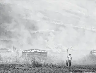  ?? REUTERS ?? A resident fights a grass fire in the Hillville area near Taree, NSW, Australia, Nov. 13.