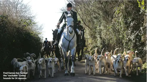  ??  ?? Fred Eames has hunted the “excitable” Cotley hounds for 14 seasons