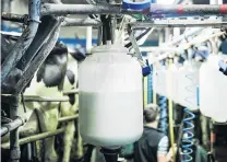  ?? PHOTO: GETTY IMAGES ?? Payout down . . . Westland Milk targets were not met during the year.