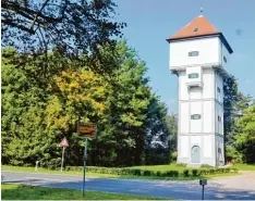  ?? Foto: Hieronymus Schneider ?? Für den Wasserturm in Kleinaitin­gen wird eine nachhaltig­e und sinnvolle Nutzung ge sucht.