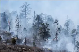  ?? Hermit peak fire burning near the San Miguel and Mora County line on Wednesday. Photograph: Eddie Moore/Albuquerqu­e Journal/ZUMA/REX/Shuttersto­ck ??