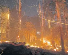  ?? DAVID McNEW/GETTY IMAGES ?? A strong wind blows embers from smoldering trees on Saturday in Montecito, Calif. Calmer winds allowed firefighte­rs to reach 50 per cent containmen­t of the massive Thomas fire on Tuesday.