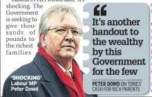  ??  ?? ‘SHOCKING’ Labour MP Peter Dowd