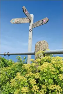  ??  ?? uWHICH WAY NOW? Navigation on the coast path is a breeze: mostly sea to one side, land to the other, with waymarks wherever there’s a detour. BRITAIN’S BARRIER REEF Trimingham’s sign shows the village cliff, made from the youngest chalk in Britain. It also marks one end of a great undersea chalk reef that begins at Cley and here vanishes beneath the clay.