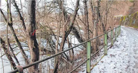  ?? FOTOS: SIMON SCHNEIDER ?? Die roten Markierung­en zeigen, welche Bäume entlang des Donauuferw­egs in Verlängeru­ng des Stadions gefällt werden müssen. Auch im Hangbereic­h an der anderen Wegseite wird gerodet.