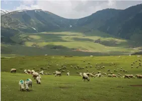  ?? ?? Lush green meadows of Tosa Maidan located in Pir Panjal range.