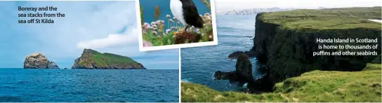  ??  ?? Boreray and the sea stacks from the sea off St Kilda
Handa Island in Scotland is home to thousands of puffins and other seabirds