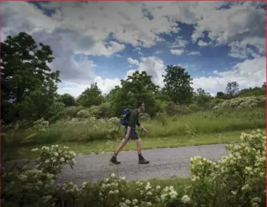  ?? PETER POWER PHOTOS FOR THE TORONTO STAR ?? Alex Ballingall spent a week hiking a 260-kilometre stretch of the Trans Canada Trail between Niagara-on-the-Lake and Toronto.