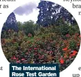  ?? ?? The Internatio­nal Rose Test Garden