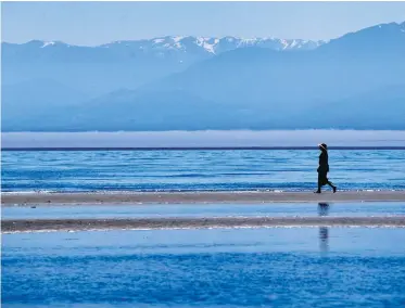  ?? TIMES COLONIST FILE ?? A hiker enjoys the solitude and view at Witty’s Lagoon Beach, reached by one of several pleasant summertime hikes recommende­d by Monique Keiran.