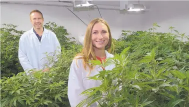  ?? GREG SORBER/JOURNAL ?? Eric and Rachael Speegle at the Verdes Foundation indoor cannabis growing room. They say the state’s limit on the number of plants that can be grown has hampered expansion and hurt patients.