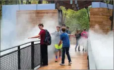  ??  ?? Kaid Goodwin, Jondon Jason, Jonathan Perez and Hunter Cannard walk through mist on the Bob Wheeler Science Skywalk. The Skywalk is a new addition to the museum that allows visitors to walk through the wooded grounds.