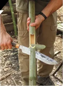  ??  ?? Above, Left:
The author made a rice maker with the Golok 135 on some thin-walled, green bamboo. This is a jungle-style rice maker from jungle survival training in the Philippine­s and requires a sharp blade.
Above, Right: The My Parang Golok 135 has a 12 inch-long blade with 11 inches of cutting edge. 5160carbon steel on a 6.5 inch-long Eco Beech handle, with a copper sleeve over a single brass pin. Opposite Page Upper Left: This piece of bamboo was chopped at each side to pry off the top for a cooking tube or serving platter. The bamboo spoon/utensil was used as a skewer. Upper Right: Choking up on the unsharpene­d portion of the blade allows for fine carving making tools or shaving feather sticks for a fire. Lower Left: A more traditiona­l parang, the Lading has deep roots in Malaysian martial arts and agricultur­al blades.