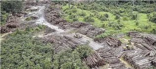  ?? AP ?? This May 8, 2018 photo released by Ibama, the Brazilian Environmen­tal and Renewable Natural Resources Institute, shows an illegally deforested area, on Pirititi indigenous land in Roraima state in Brazil’s Amazon Basin.