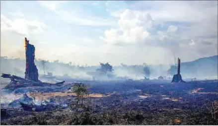  ?? AFP ?? Deforestat­ion, drought and fires in the Amazon could transform part of the rainforest into a grassland.