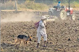  ??  ?? A farmer uses a machine to level his field after the harvesting of the paddy crop on the outskirts of Chandigarh on Wednesday.