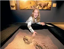  ??  ?? Ava Parkes was one of 4091 visitors who attended the ‘Permian Monsters’ exhibition­s.