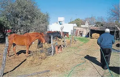  ?? (LA VOZ / ARCHIVO) ?? Víctimas. Vecinos de la zona rural de Río Segundo debieron pagar para recuperar sus caballos.