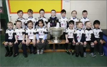  ??  ?? The Sam Maguire Cup with the Fergal Ógs under-7s.