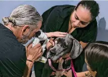  ?? ?? Technician Andrea Link helps Audrey Gilmore hold her dog, Violet, steady while Dr. Andrew Greller conducts an eye exam.