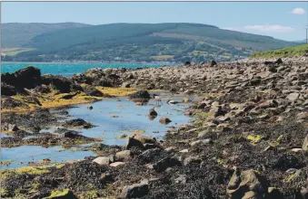  ?? Photograph: COAST. ?? Rockpools on Arran.