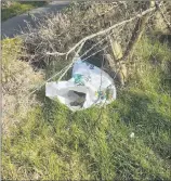  ??  ?? The bag containing the dead dog, which was dumped on the Glocca Maura road by some uncaring individual.