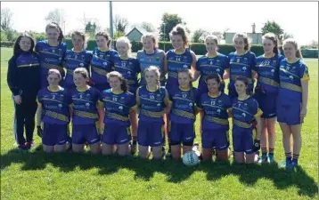  ??  ?? The Wicklow Minor team who were beaten by a single point by Kildare in the Leinster ‘B’ semi-final.