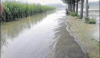  ?? HT PHOTO ?? Agricultur­al fields inundated by flood water in Yamunanaga­r on Sunday .