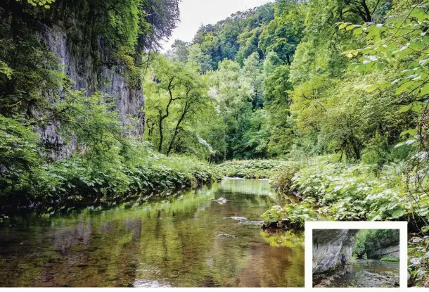  ??  ?? ABOVE, MAIN The River Wye winds its way through the striking limestone gorge of Chee Dale and around the towering cliff of Chee Tor in the Derbyshire Peak District ABOVE, INSET At Chee Dale,
‘walk on water’ by crossing the Wye on stepping stones