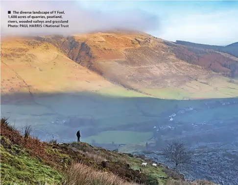  ?? ?? The diverse landscape of Y Foel, 1,600 acres of quarries, peatland, rivers, wooded valleys and grassland Photo: PAUL HARRIS ©National Trust