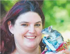  ?? SAFE HANDS: Wildlife carer Tara Hoffman with one- month- old brushtail possum Daisy. Picture: ZAK SIMMONDS ??