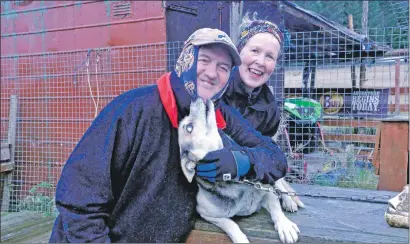  ??  ?? Alan and Fiona Stewart with one of their 19 working Alaskan huskies.