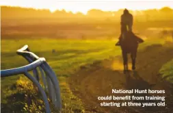  ??  ?? National Hunt horses could benefit from training starting at three years old