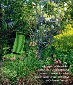  ??  ?? David replaced the wicker on the chair with metal and painted it to match the hot greens found in the Euphorbia polychroma flowers.