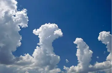  ??  ?? Small woolly cumulus towers rising in the dry air on a bright afternoon.