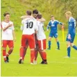  ?? FOTO: FAR ?? Freuen sich über das halbe Dutzend: die TSV-Spieler Raphael Weiß, Nils Maurer, Jörg Dannecker und Nick Feyer.