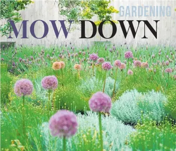  ?? ?? If a casual, slightly disorderly style appeals to you, a miniature meadow as a border or boundary area is an effective way to reduce lawn, and will encourage birds, bees and butterflie­s.