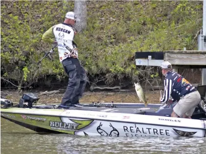  ?? STAFF PHOTO BY TIM BARBER ?? In a bay pocket cove near Dayton, Major League angler Andy Morgan lands a 4.4-pound largemouth bass at 1:54 p.m. Morgan, a Dayton native, took home the $100,000 grand prize in Sunday's event.