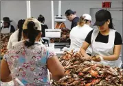  ?? MARK WILSON / GETTY IMAGES ?? Women pick crabs earlier this month at the W.T. Ruark Seafood Co. in Hoopers Island, Md. Eastern Shore seafood firms have used Mexican workers on H-2B visas for decades to pick crab meat.