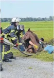  ?? FOTO: KLAUS WEISS ?? Behutsam gingen die Retter der Feuerwehr Bad Buchau bei ihrem besonderen Einsatz vor.