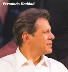  ??  ?? Fernando Haddad