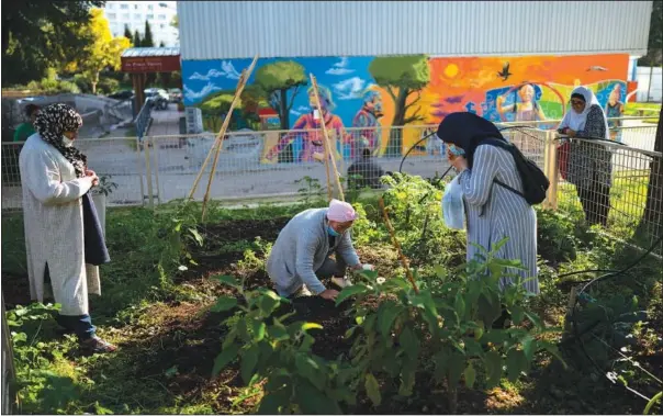  ?? ?? Resident Houaria Belmaaziz (center) plants pea seeds Oct. 27 in the communal vegetable garden of the Frais Vallon Cite in Marseille, southern France. (AP/Daniel Cole)