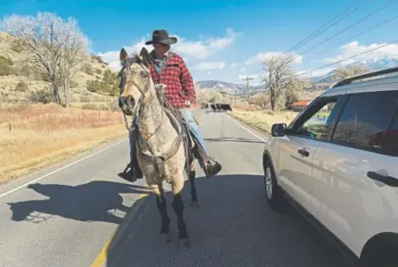  ?? Photos by Helen H. Richardson, The Denver Post ?? Rancher and cowboy Bill Carsten, left, visits with Delta County Sheriff Fred McKee as Carsten leads his cattle along Colorado 92 toward Hotchkiss this month.