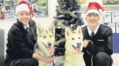  ??  ?? Plea Siberian huskies Eva and Roxy with care assistants Georgie Morris and Claire Aiton