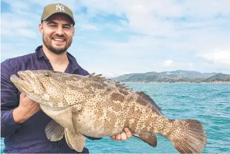  ?? ?? Gold spot cod like this one caught near Magnetic Island by Dan Turner remain fair game during the fin fish closure.