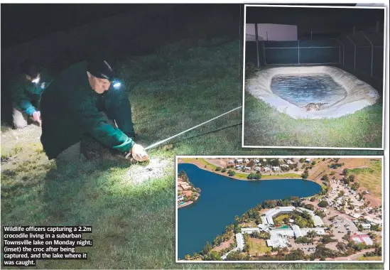  ?? ?? Wildlife officers capturing a 2.2m crocodile living in a suburban Townsville lake on Monday night; (inset) the croc after being captured, and the lake where it was caught.