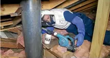  ??  ?? Pest Proof general manager Jake Burns about to dust a wasp nest in an attic.