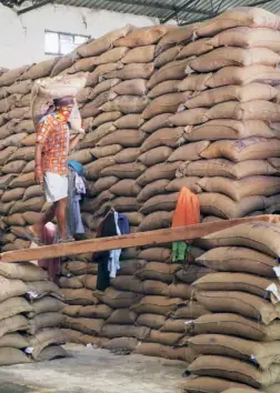  ??  ?? AT A GODOWN of the Food Corporatio­n of India in Jammu on April 16. In India as of July 22, there was 91 million tonnes of foodgrain “surplus”, or buffer stocks, lying with the government—and the highest numbers of the world’s hungry.